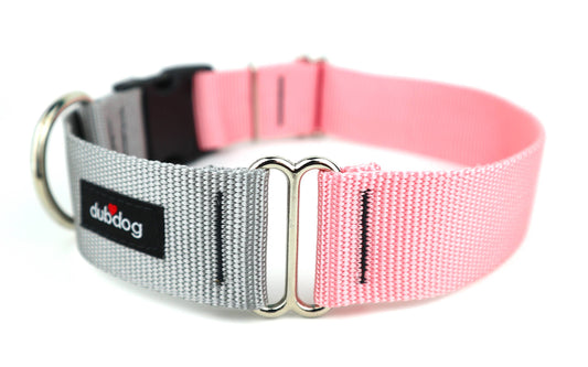 Silver and Pink Collar