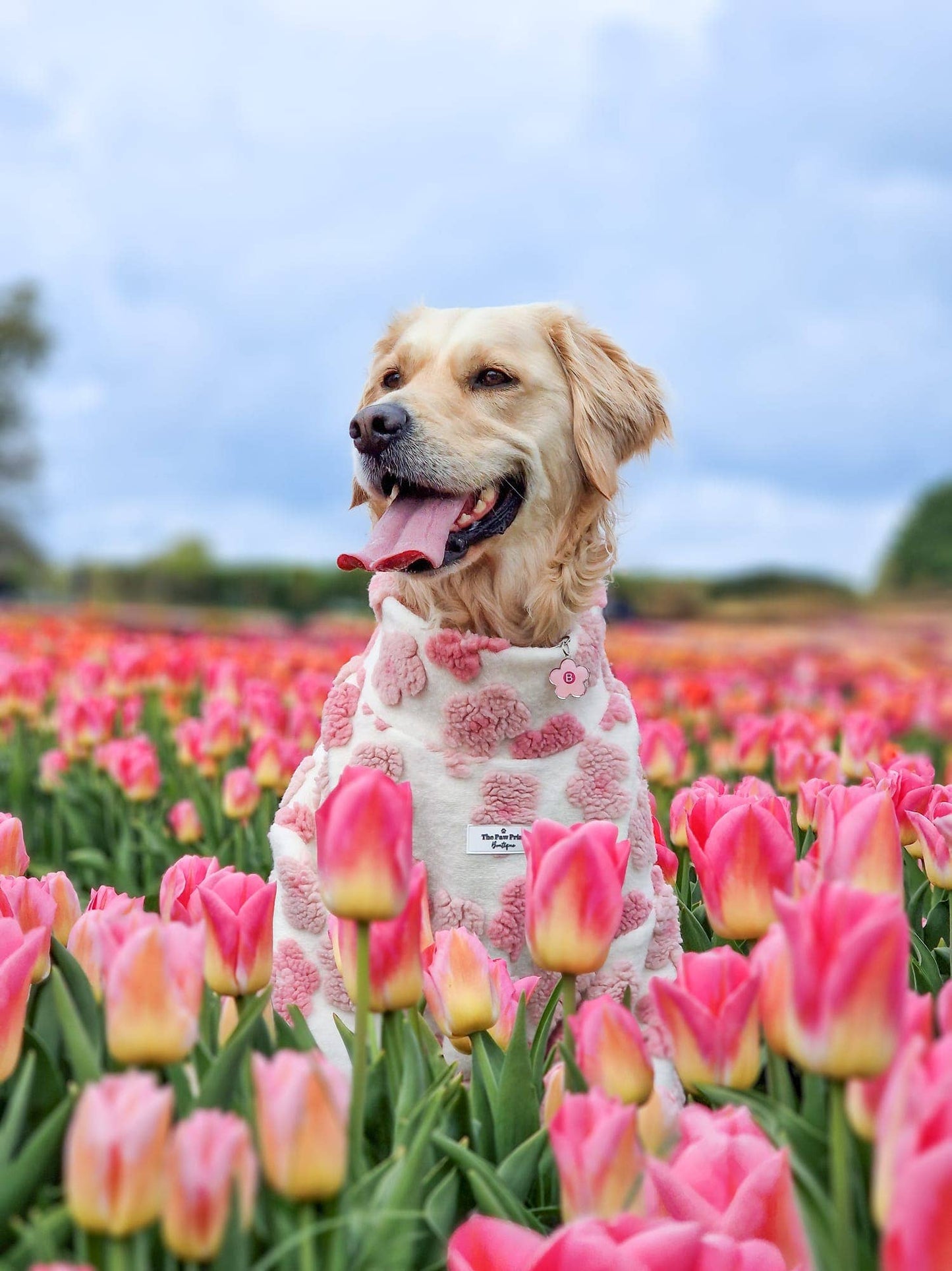 The Peony Pink Floral Fleece