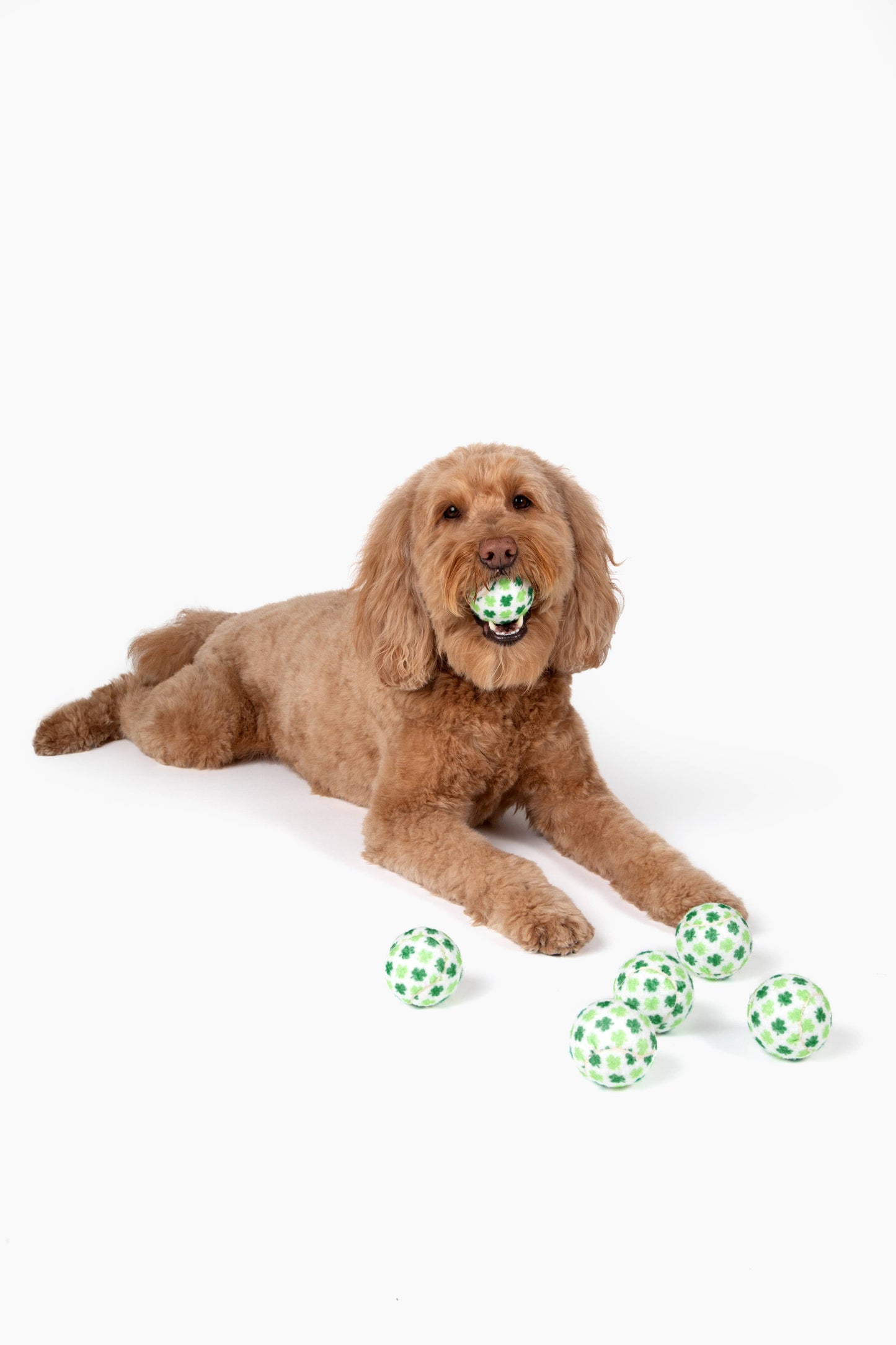 St. Patrick's Day Shamrock Dog Tennis Balls - Assorted Sizes