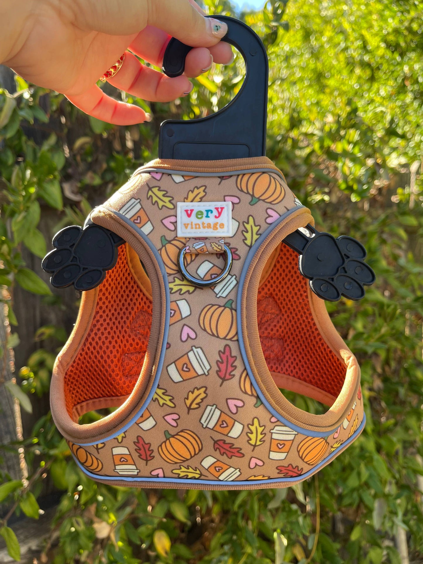 Pumpkin Spice Dog Harness