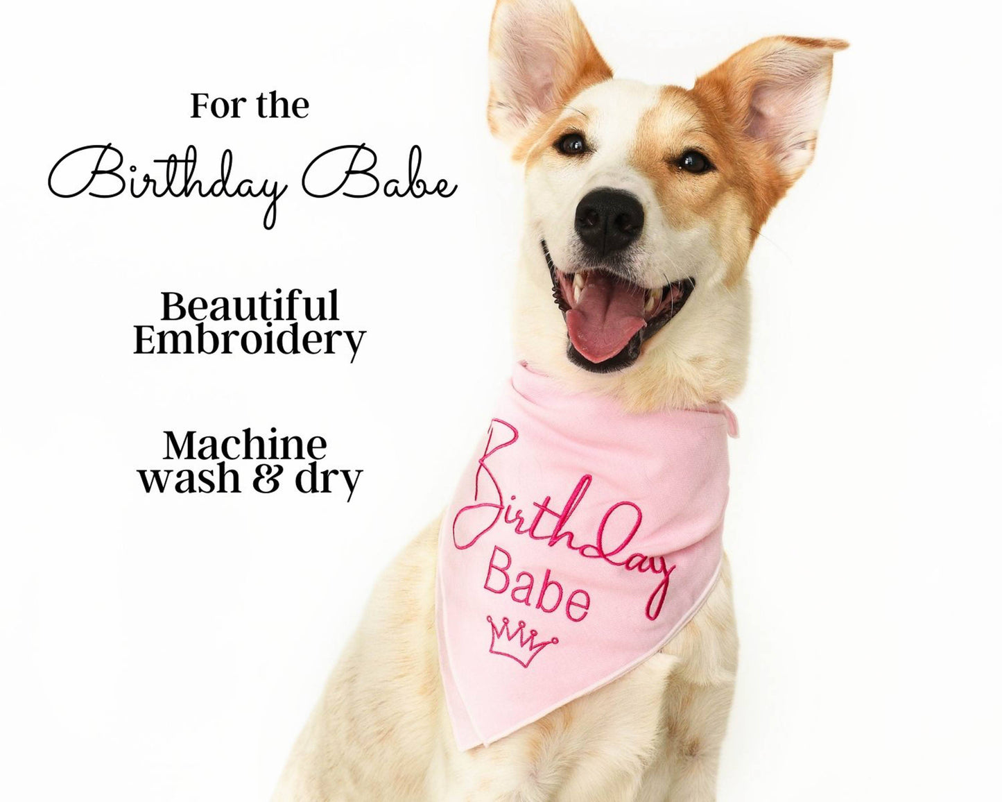 Embroided Birthday Babe Bandana