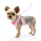 EasyGO Dog Harness Cherish Heart