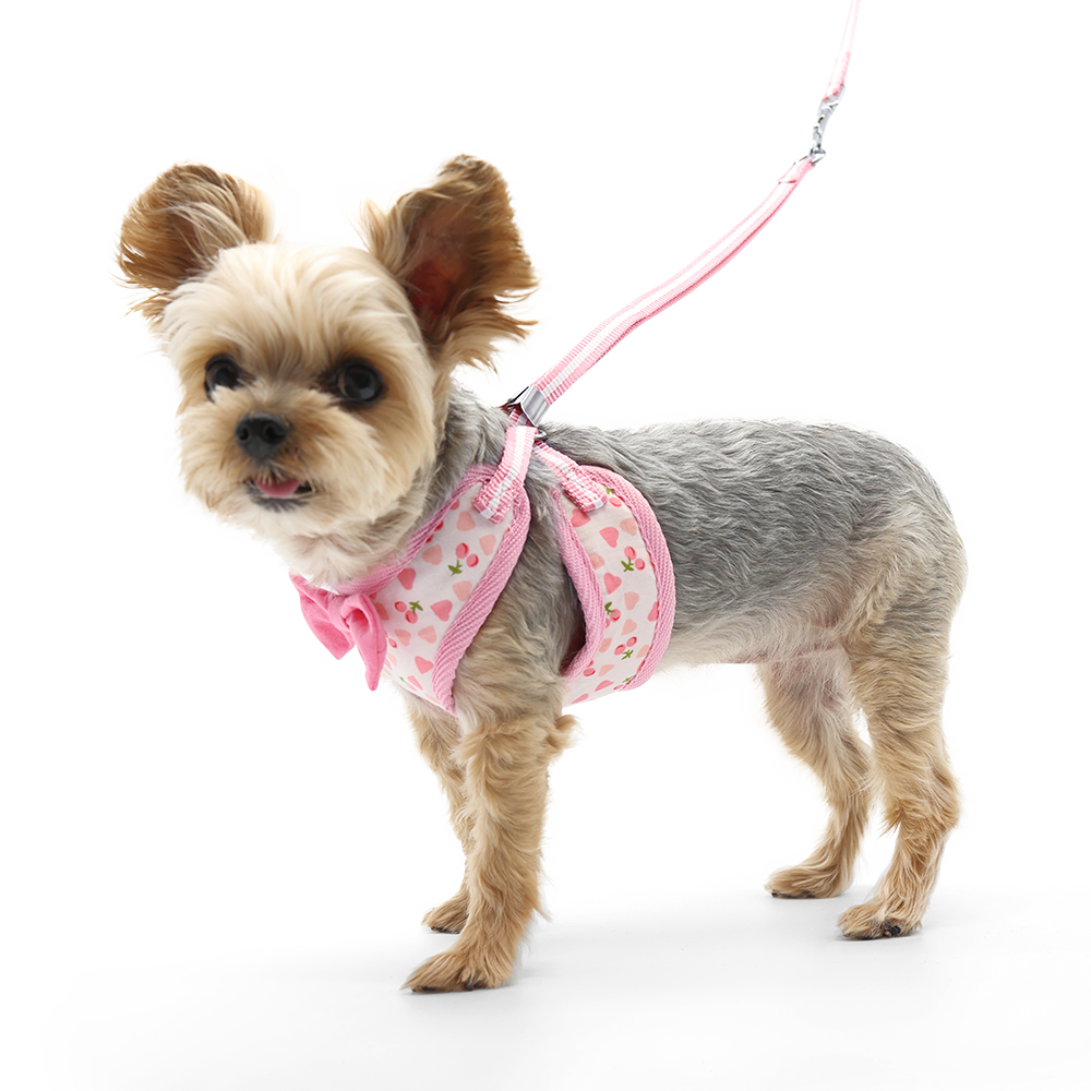 EasyGO Dog Harness Cherish Heart