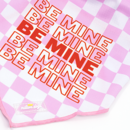 Cooling Dog Bandana - Be Mine