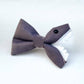 Shark Bait Dog Bow Tie