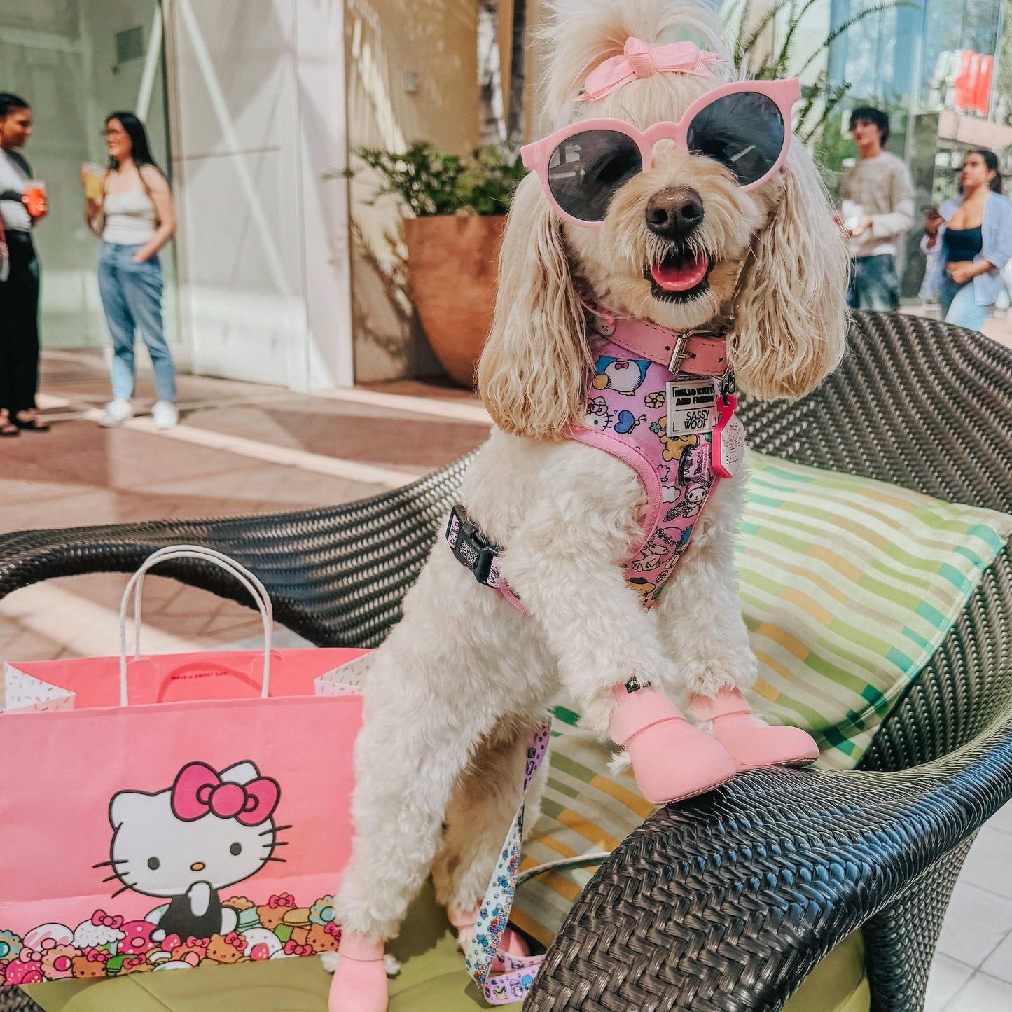 Hello Kitty® & Friends Flower Festival Dog Adjustable Harness