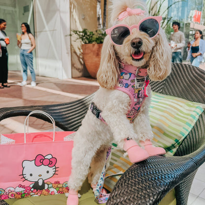 Hello Kitty® & Friends Flower Festival Dog Adjustable Harness