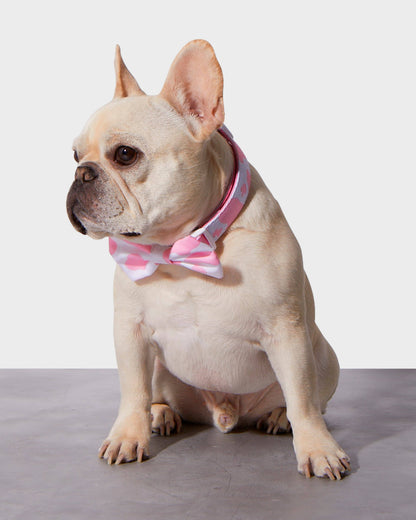 Pink Moo'd Bowtie