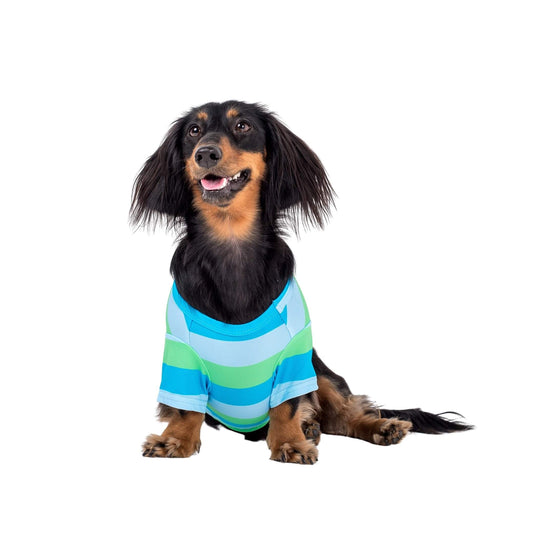 Seriously Stripey Cooling Dog Shirt
