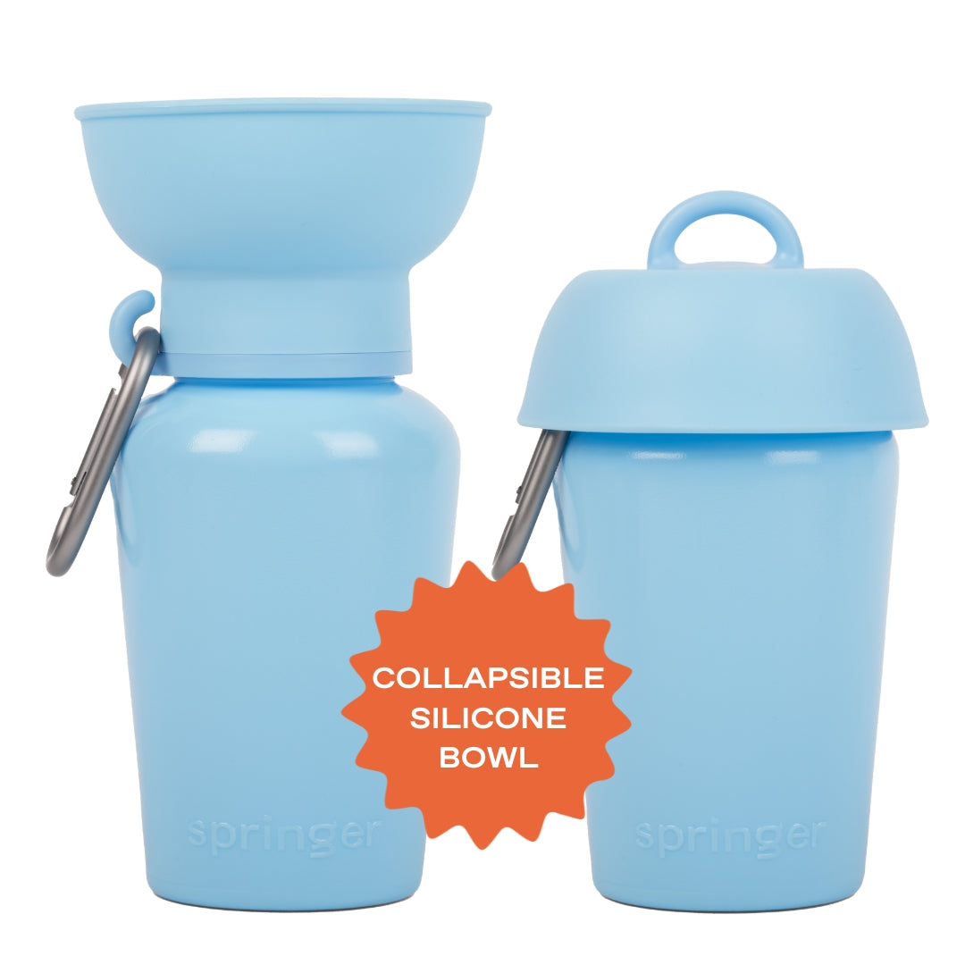 Flip Dog Travel Bottle 20oz - Assorted Colors