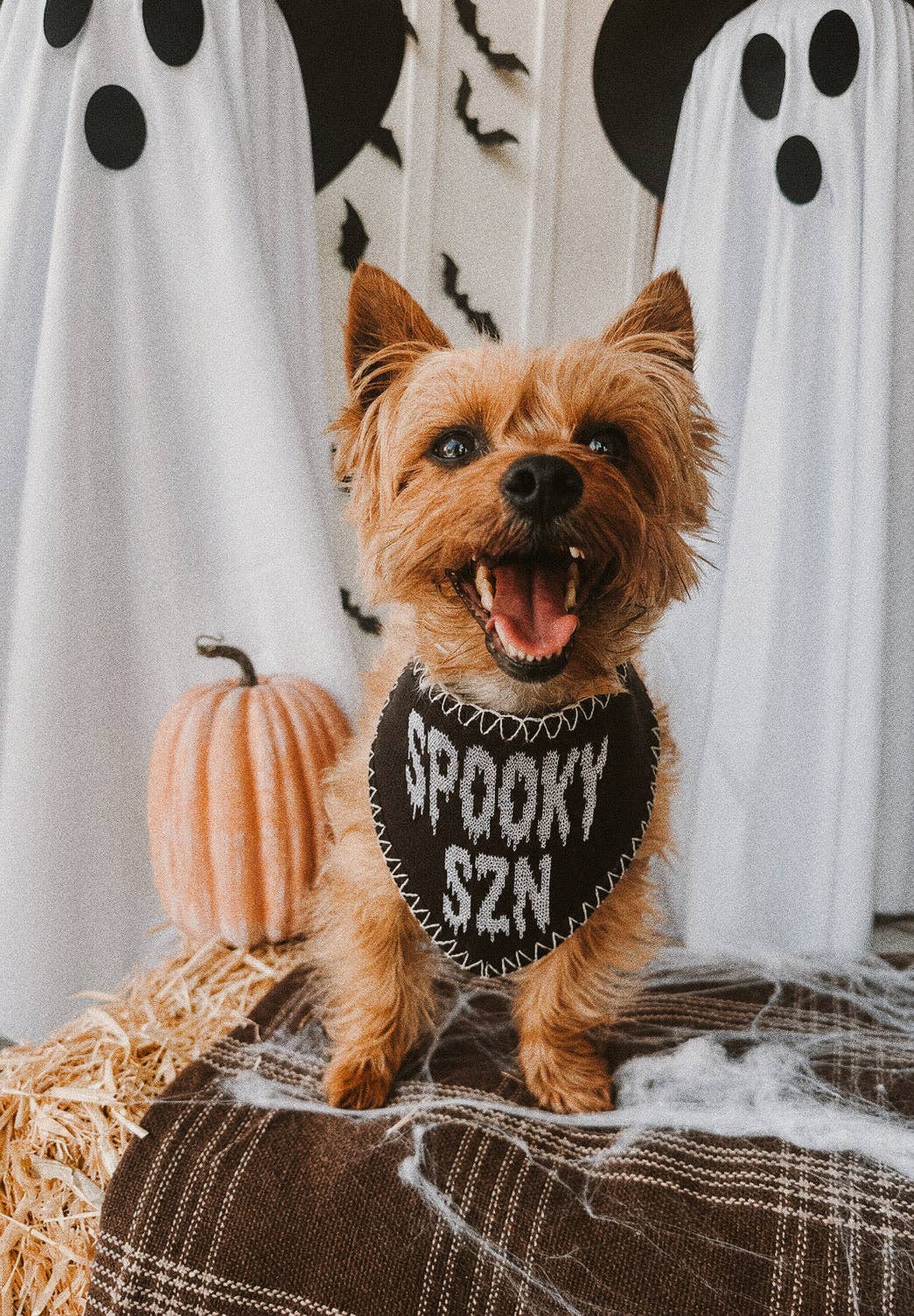 Spooky Szn Reversible Knit Bandana