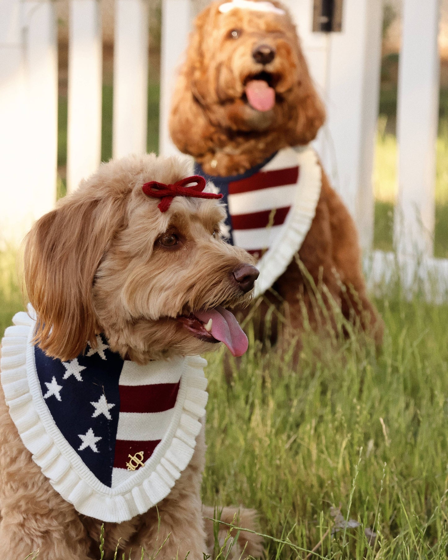 Stars & Stripes Dog Bandana
