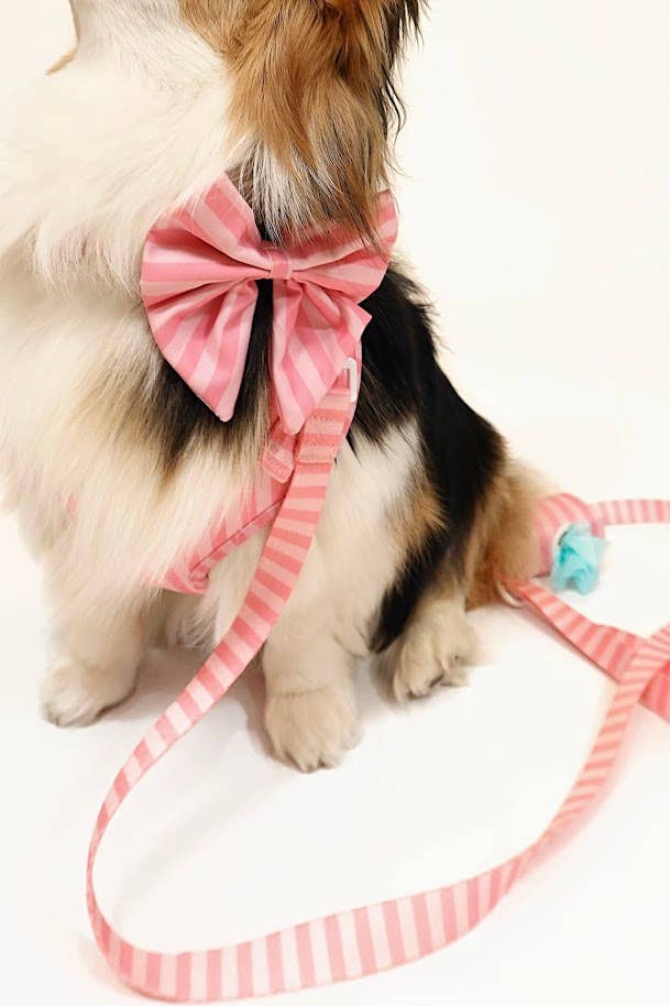 Pink on Pink Striped Bow