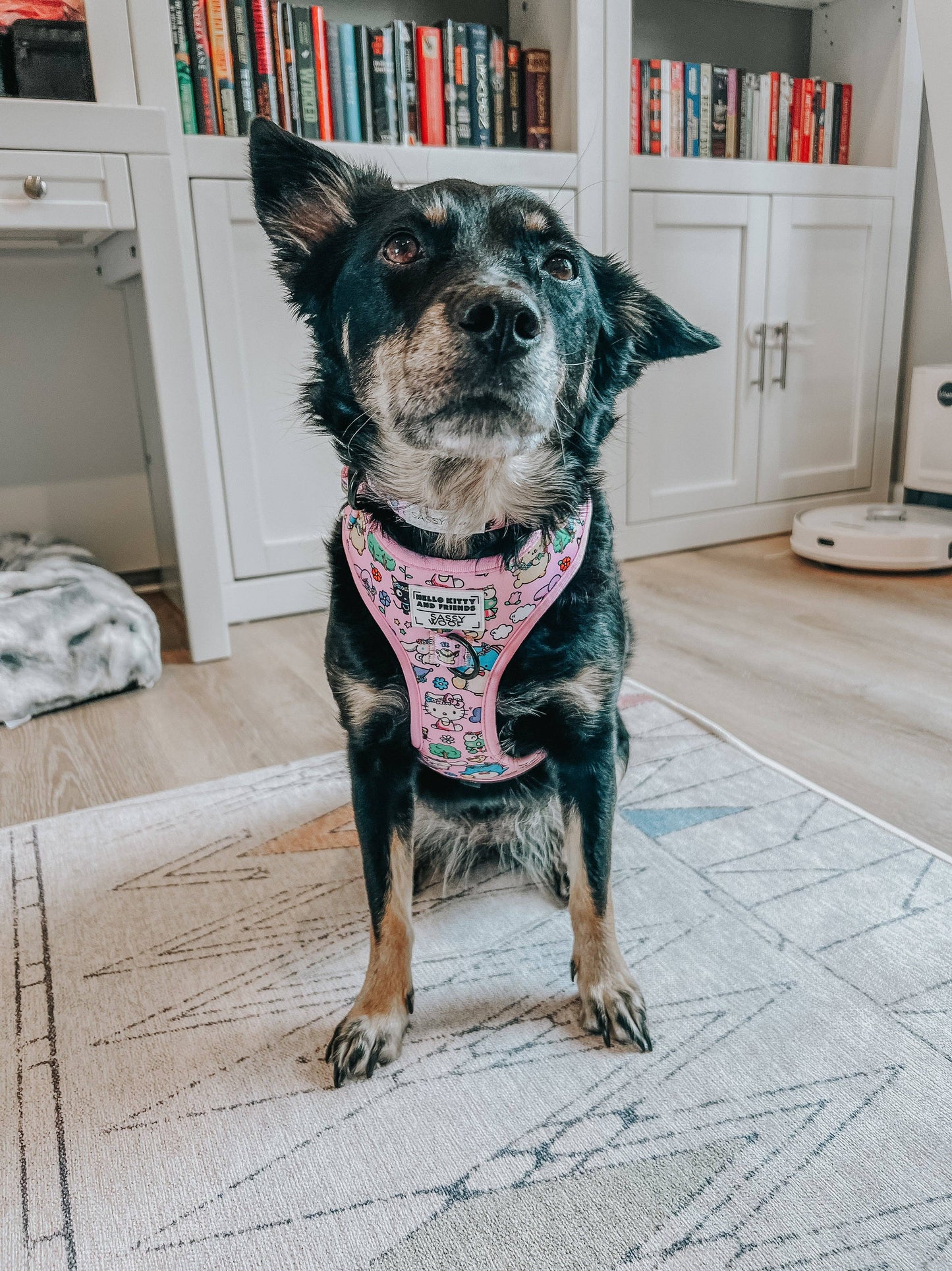 Hello Kitty® & Friends Flower Festival Dog Adjustable Harness