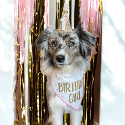 Confetti Birthday Girl or Birthday Boy Dog Bandana