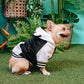 Frenchie Dog Hoodie - Panda Bear