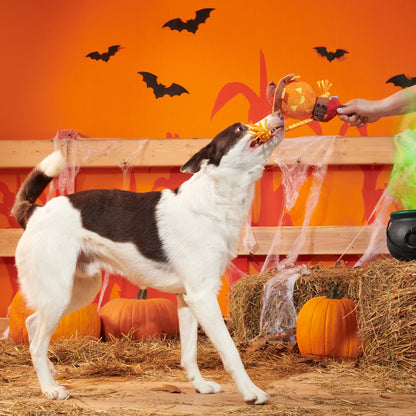 BARK Jack-Crow-Lantern Plush Dog Toy