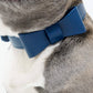 Signature Dog Collar & Leash Set - Navy