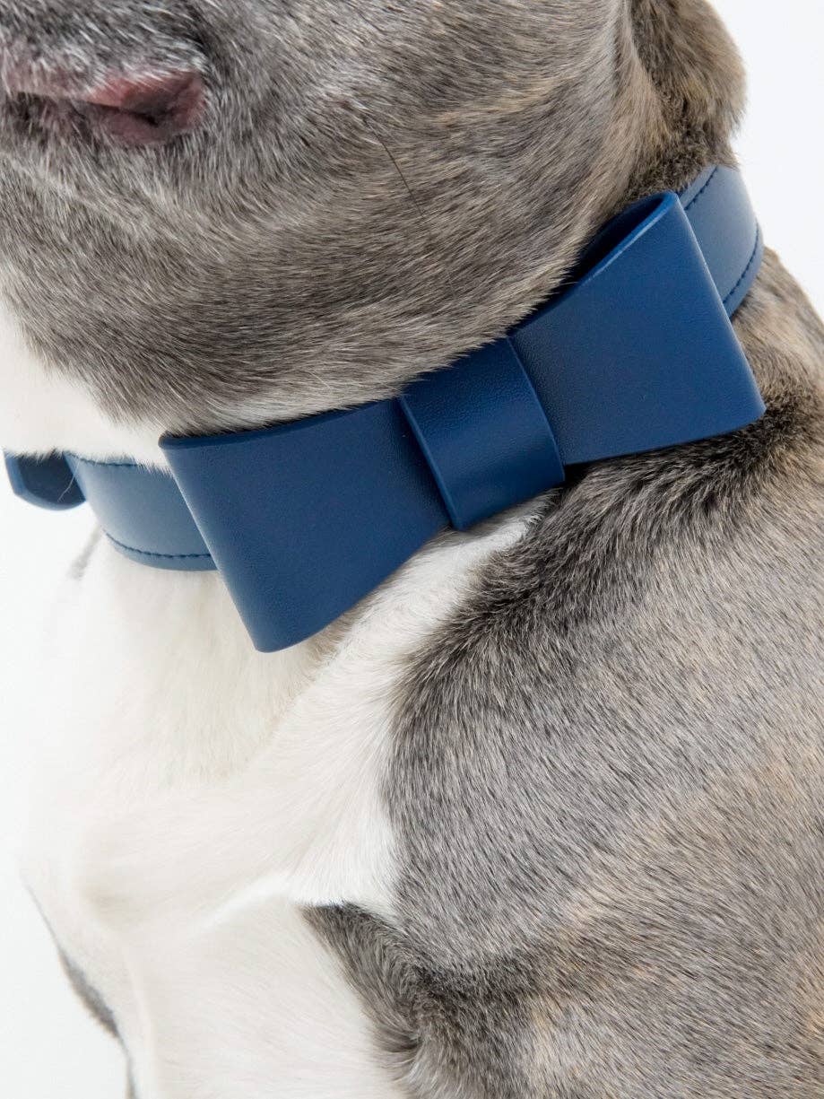 Signature Dog Collar & Leash Set - Navy