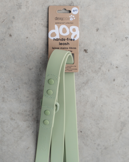 Hands Free Leash in Sage Green 8"