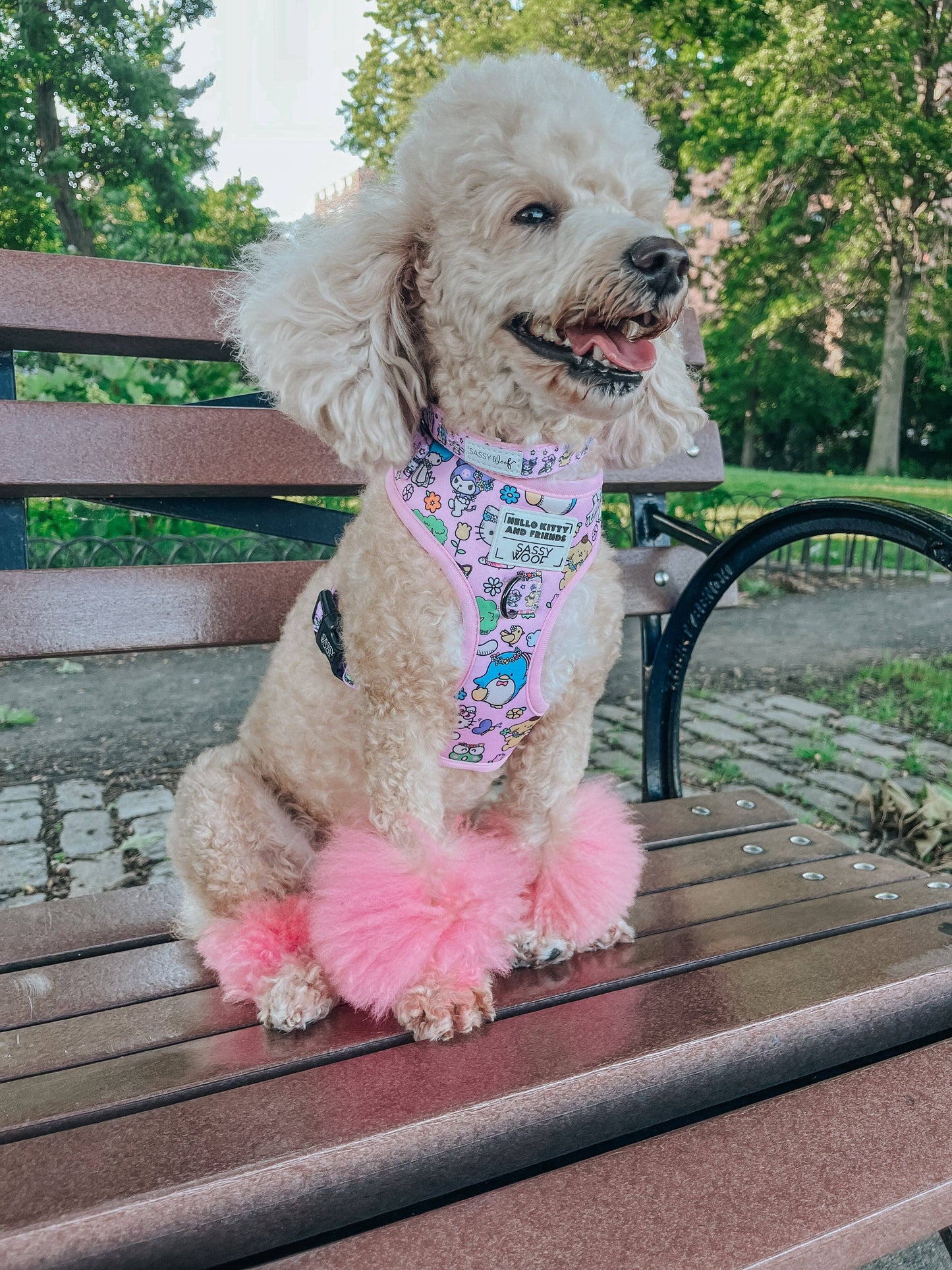 Hello Kitty® & Friends Flower Festival Dog Adjustable Harness