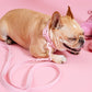 Frenchie Waterproof Collar - Pink Bubble Gum