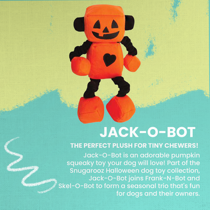 Jack-o-Bot Dog Toy