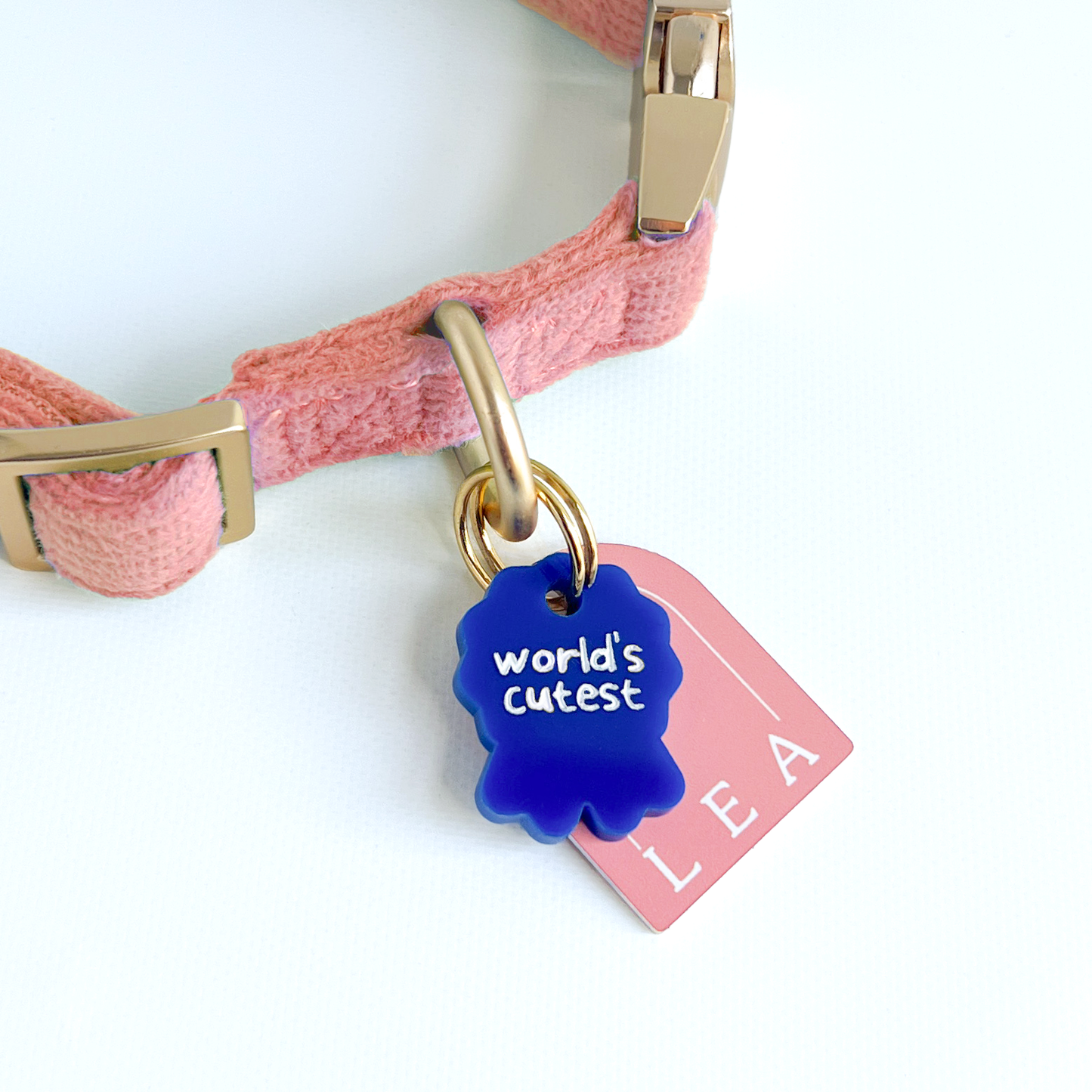 World’s Cutest Blue Ribbon Pet Collar Charm