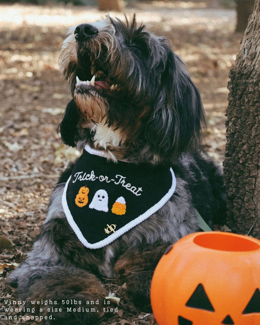 Trick or Treat Knit Bandana