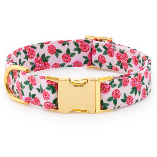 Rosette Dog Collar