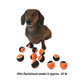 Midlee Orange/Black Mini Dog Halloween Tennis Balls (12pk)