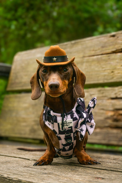 Wild West Adventure Dog Harness