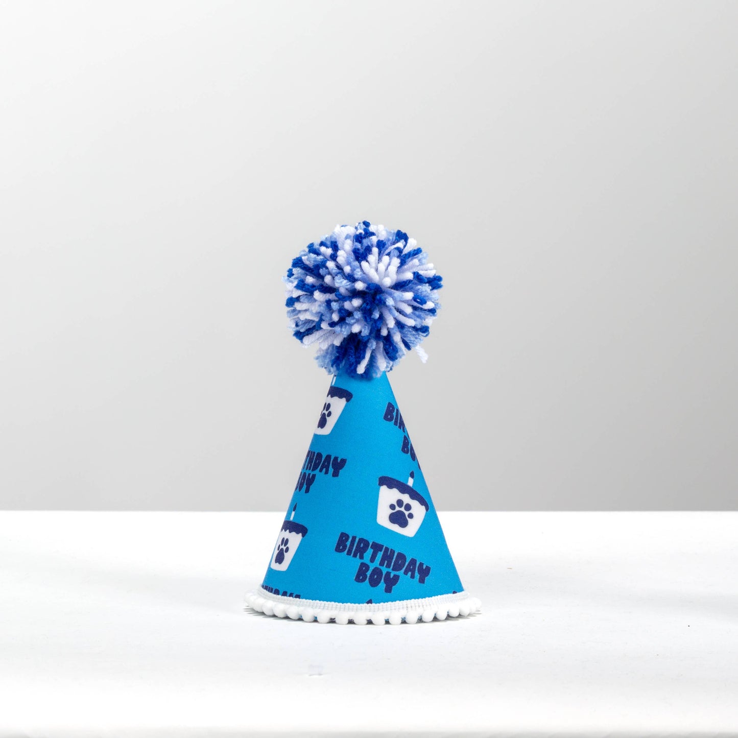 Birthday Boy Blue Ink Party Hat 