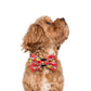 Dr. Seuss' The Grinch: Dog Bow Tie