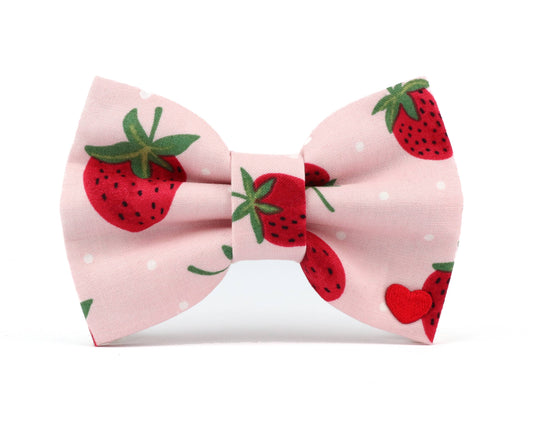 Strawberry Bowtie