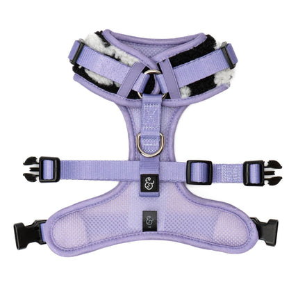 Far Out No-Pull Harness