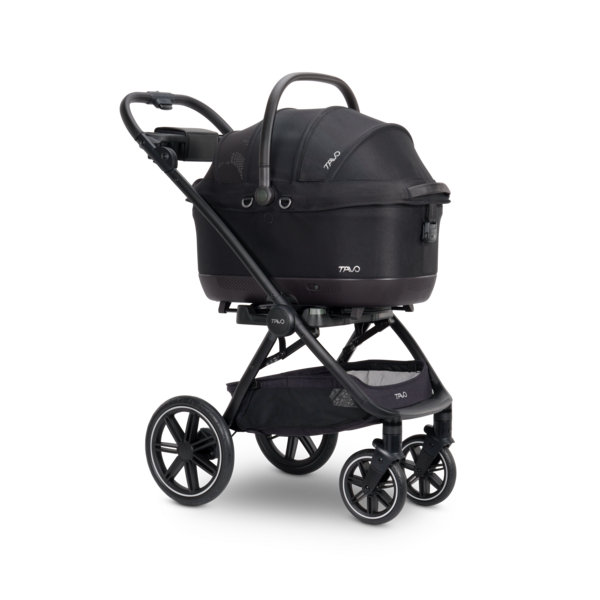 Tavo Maeve ISO WIND + Roscoe System