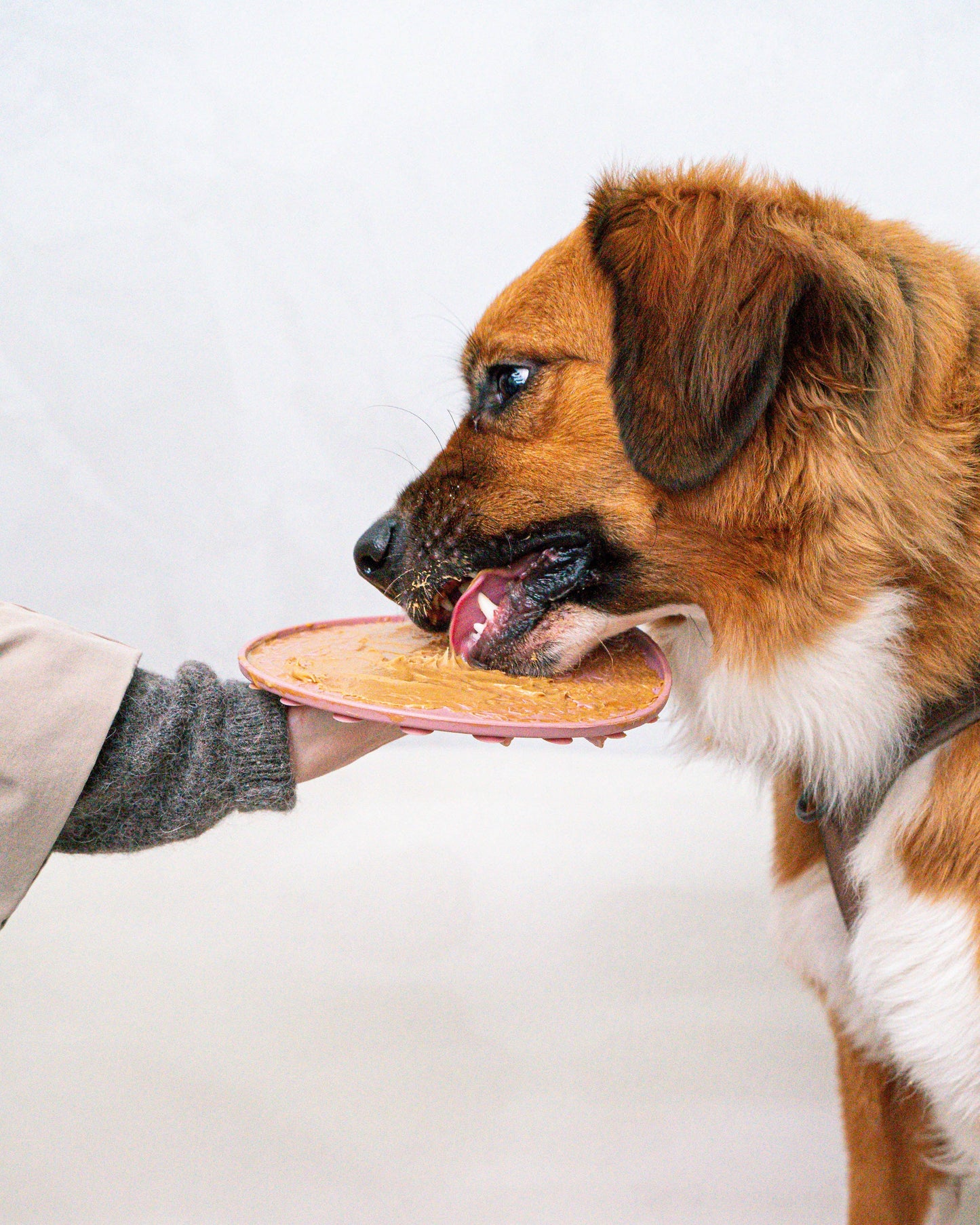 Juego de tapete y espátula para lamer adornos