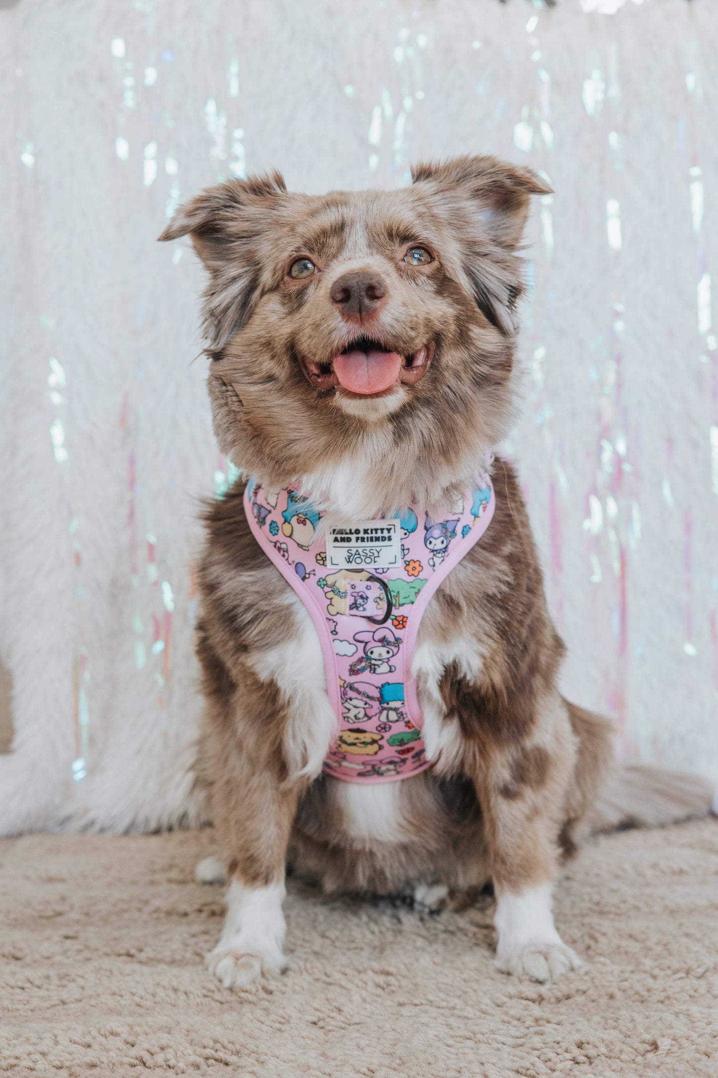 Hello Kitty® & Friends Flower Festival Dog Adjustable Harness