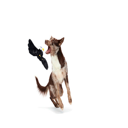 Bold Eagle Fourth Of July American Plush Dog Toy