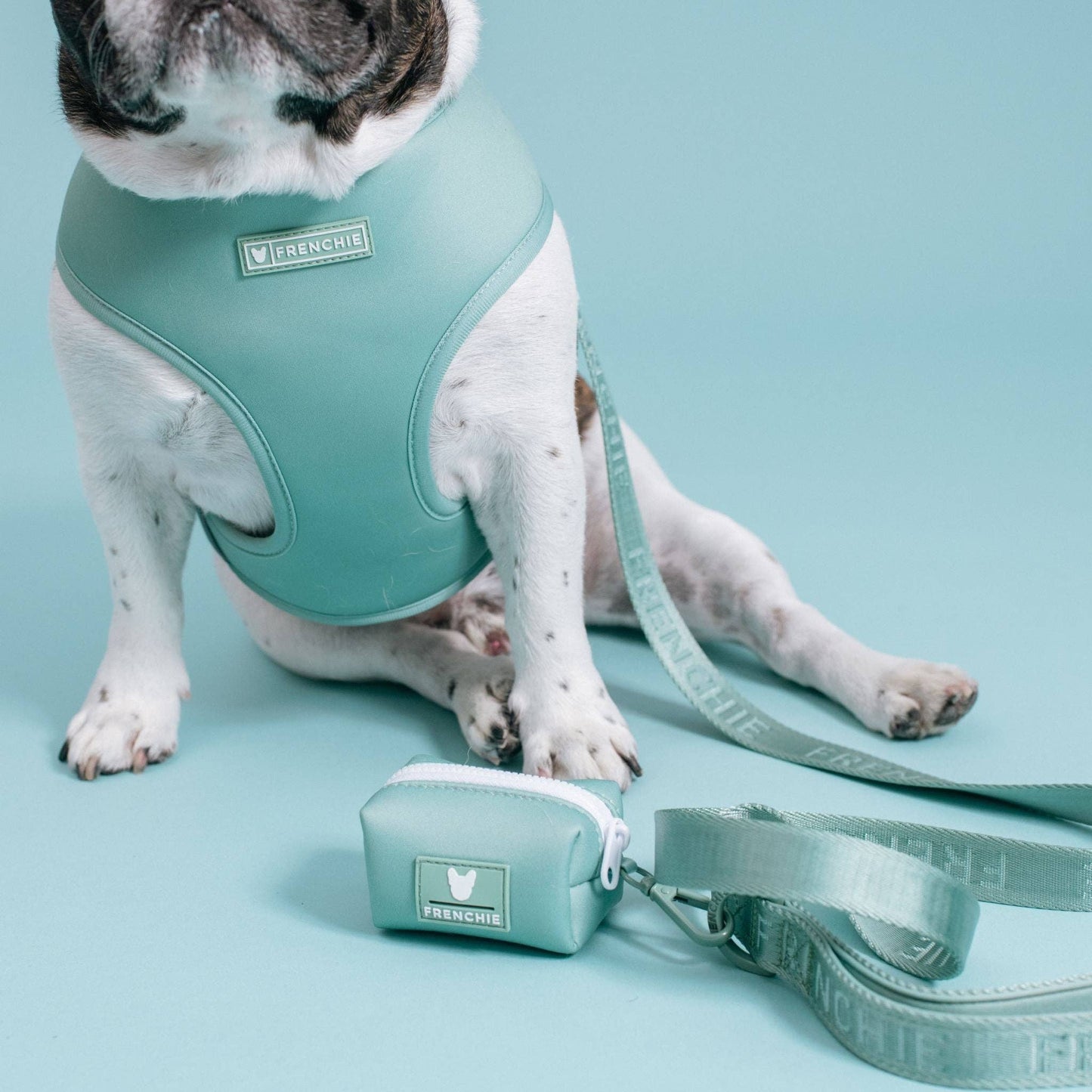 Frenchie Duo Reversible Harness - Sage