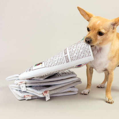 Juguete olfativo con forma de periódico