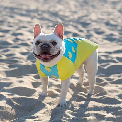 Sun Shield Dog T-Shirt - Rubber Ducks