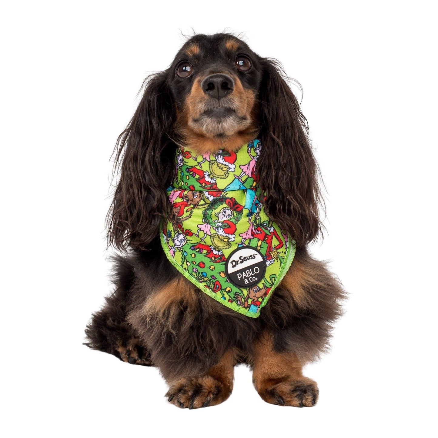 Dr. Seuss' Who-Ville: Dog Bandana: Small