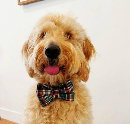 Beer Pet Bow Tie