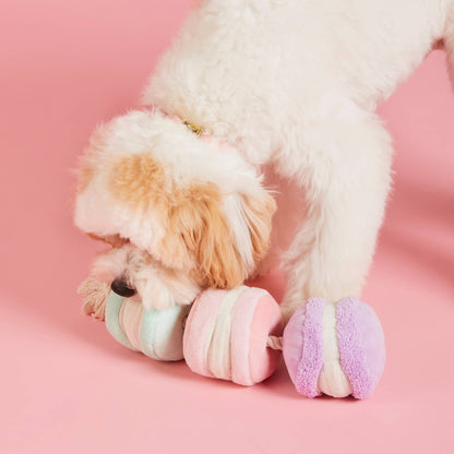 Juguete interactivo para perros con forma de macarrón