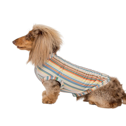 El perro refrescante Cabana Rashie