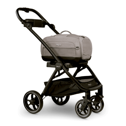 Tavo Dupree + Roscoe Pet Travel System