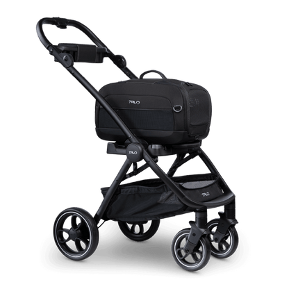 Tavo Dupree + Roscoe Pet Travel System