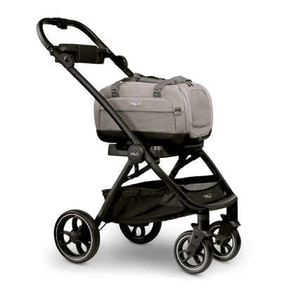 Tavo Dupree II + Roscoe Pet Travel System